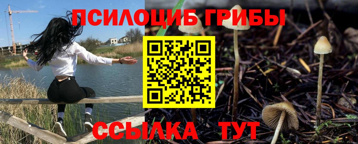 Мариинск  Галлюциногенные грибы прущие грибы  Вход с VPN 
