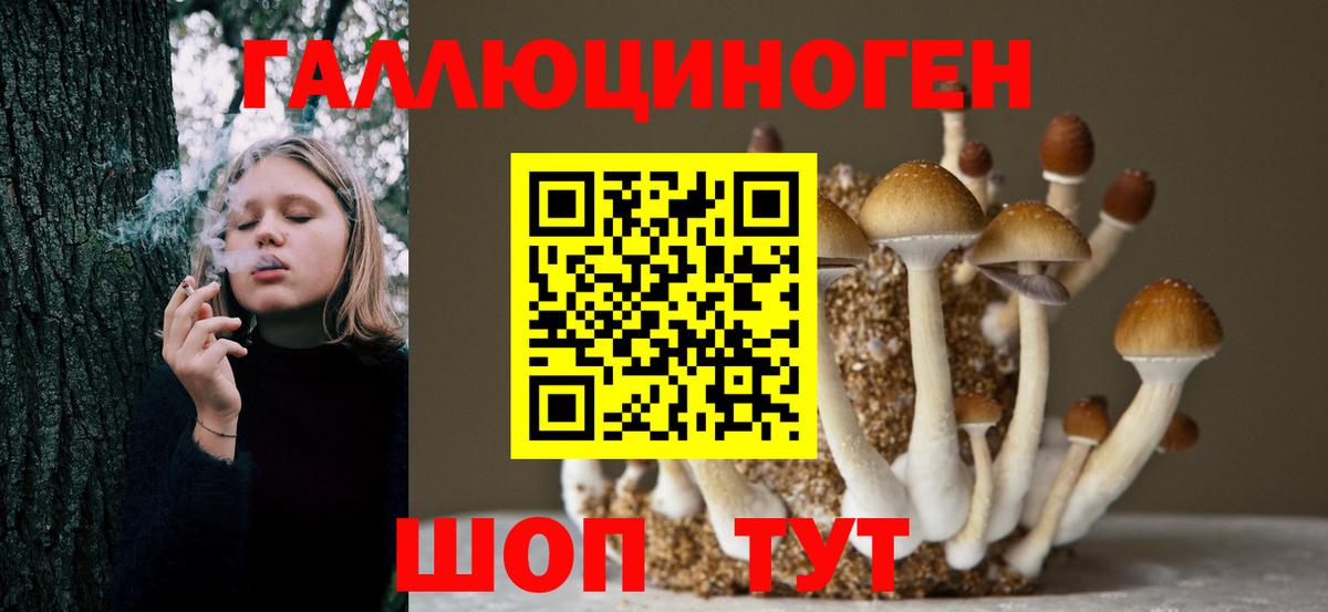 Псилоцибиновые грибы Magic Shrooms Мариинск